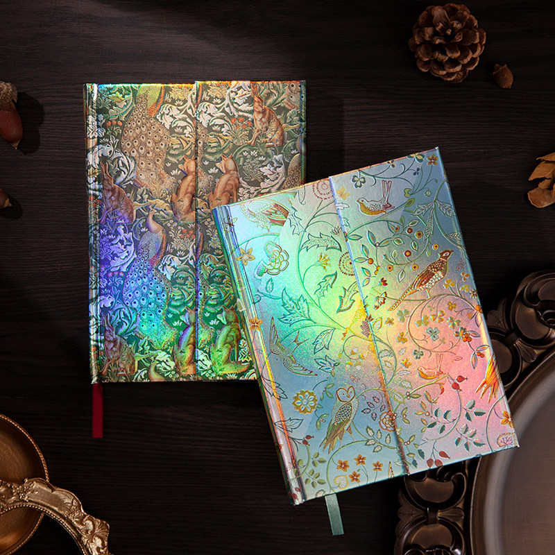 ☄️Aurora Filigree Journal✨