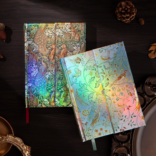 ☄️Aurora Filigree Journal✨