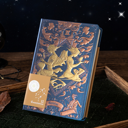⛎Zodiac Constellations Journal✨